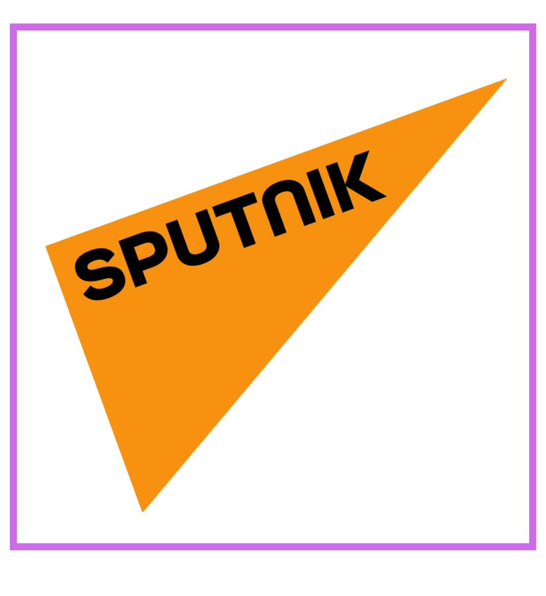 Supporting Partner